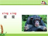 部编版语文二年级上册《语文园地八》 课件