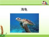 部编版语文二年级上册《语文园地八》 课件