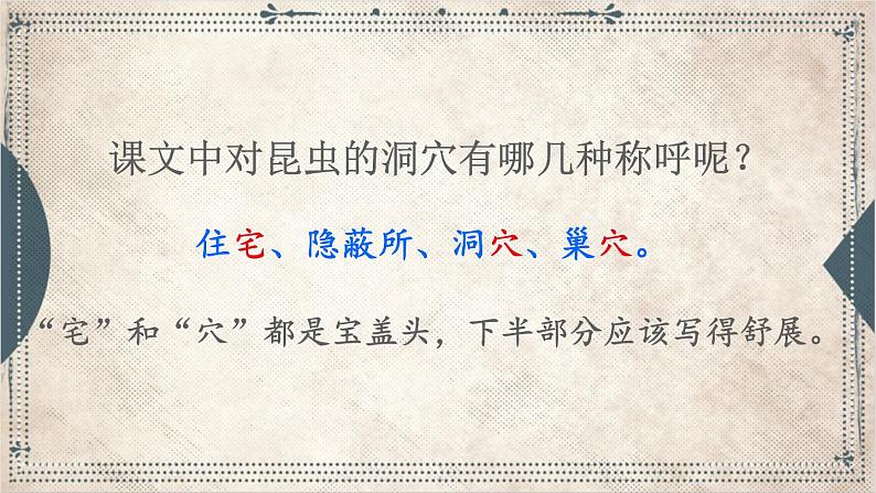 2021～2022学年小学语文人教部编版 四年级上册 11 蟋蟀的住宅课件06