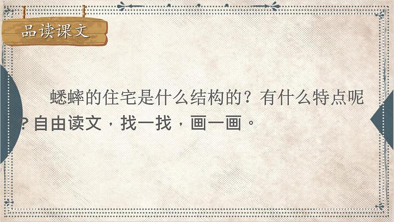 2021～2022学年小学语文人教部编版 四年级上册 11 蟋蟀的住宅课件08