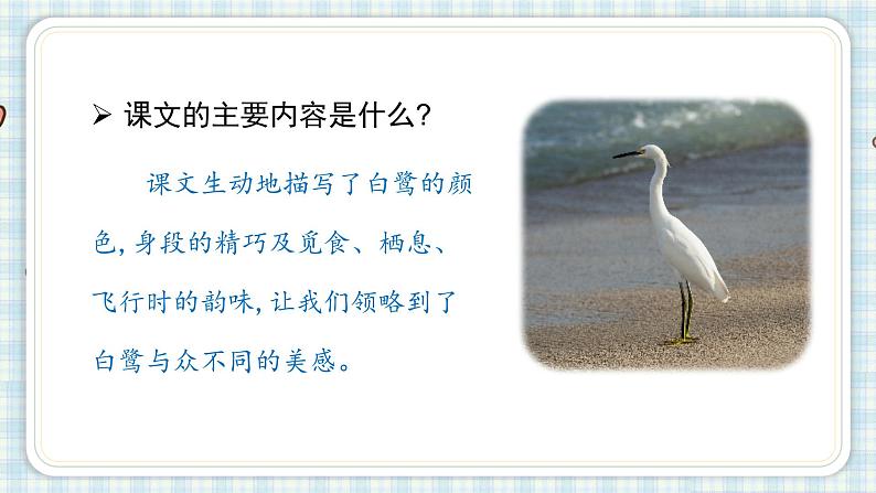 部编版五年级语文上册 第一单元 1.白鹭 课件03