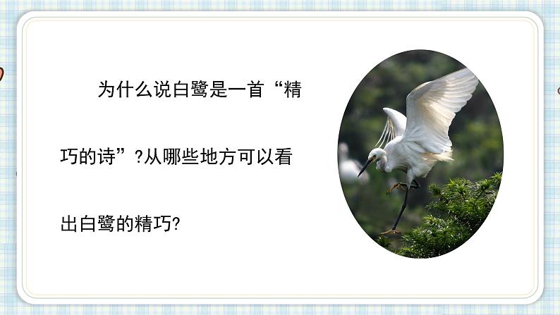 部编版五年级语文上册 第一单元 1.白鹭 课件05