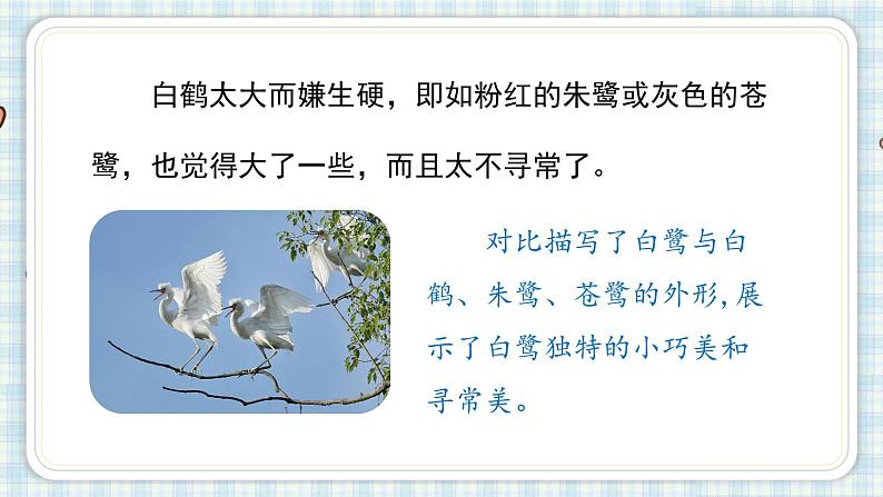 部编版五年级语文上册 第一单元 1.白鹭 课件07