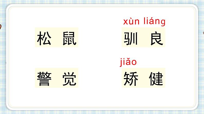 部编版五年级语文上册 第五单元 17.松鼠 课件04