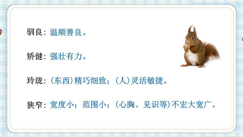 部编版五年级语文上册 第五单元 17.松鼠 课件07