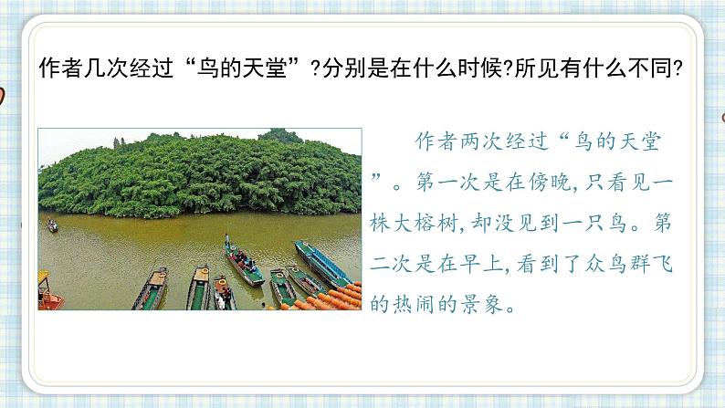 部编版五年级语文上册 第七单元 23.鸟的天堂 课件04