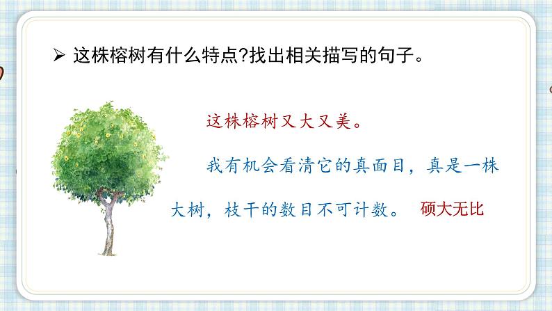 部编版五年级语文上册 第七单元 23.鸟的天堂 课件06