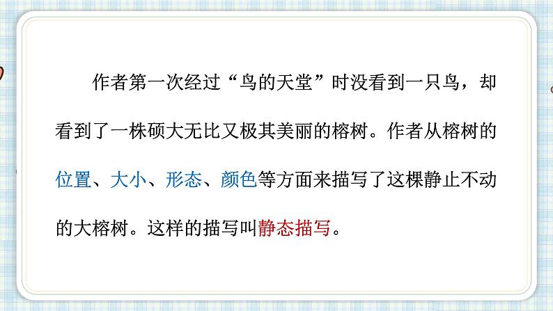 部编版五年级语文上册 第七单元 23.鸟的天堂 课件08