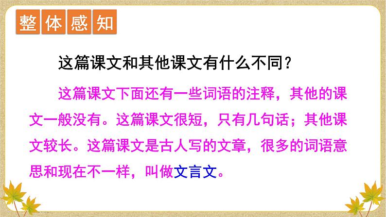 24司马光2021-2022学年三年级上册语文部编版教学课件第8页