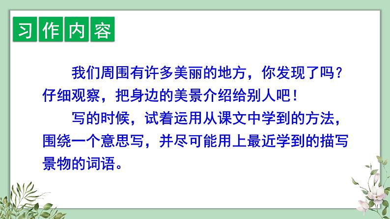 习作、语文园地六2021-2022学年三年级上册语文部编版教学课件第2页