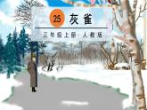 25灰雀2021-2022学年三年级上册语文部编版教学课件