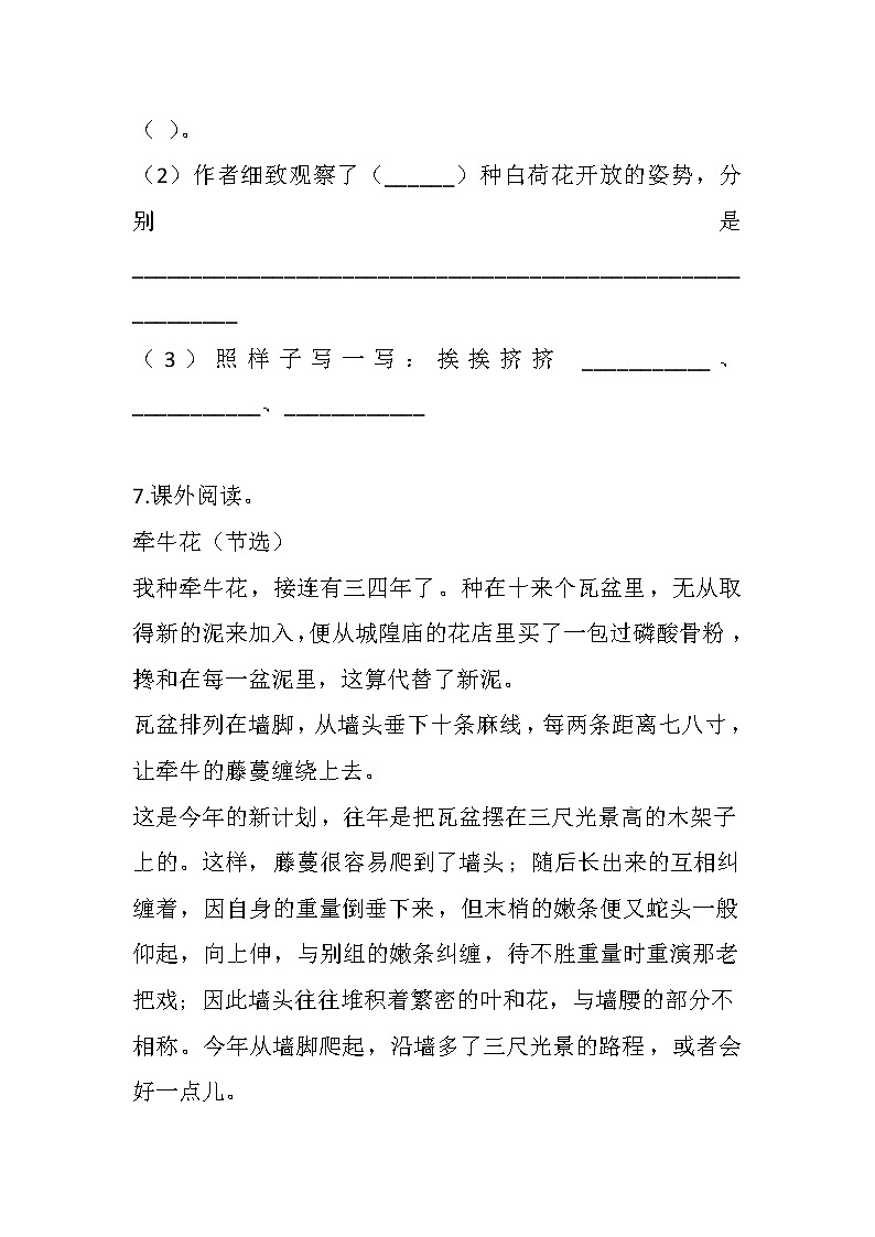 部编版三年级下册语文3 荷花（课件+教案+练习含答案）03