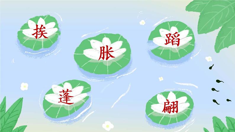 部编版三年级下册语文3 荷花（课件+教案+练习含答案）06