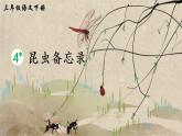部编版三年级下册语文4 昆虫备忘录（课件+教案+练习含答案）
