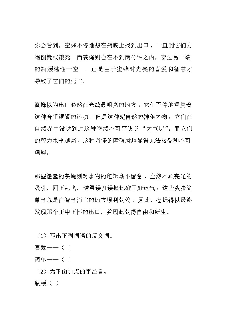 14 蜜蜂练习含答案第2页