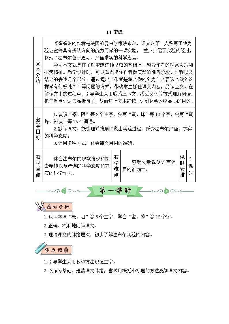 14 蜜蜂（教案）第1页