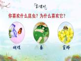 部编版三年级下册语文14 蜜蜂（课件+教案+练习含答案）
