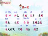 部编版三年级下册语文14 蜜蜂（课件+教案+练习含答案）