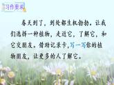 部编版三年级下册语文习作：我的植物朋友（课件+教案）.