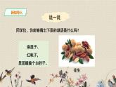 人教部编版（五四制）五年级上册  语文  第一单元《落花生》课件