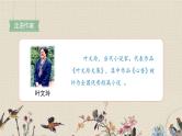 人教部编版（五四制）五年级上册  语文  第八单元《我的长生果》课件