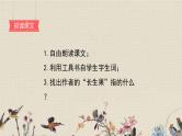 人教部编版（五四制）五年级上册  语文  第八单元《我的长生果》课件