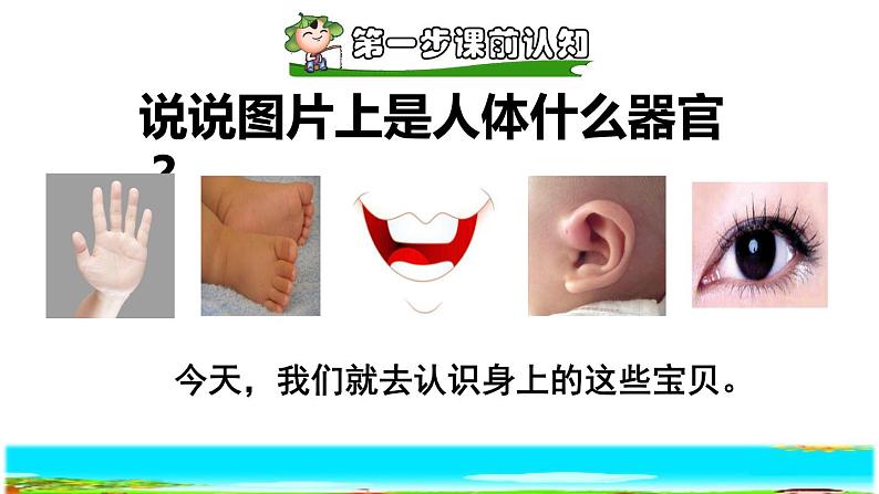 部编语文一上：识字3 口耳目 精品PPT课件+素材02