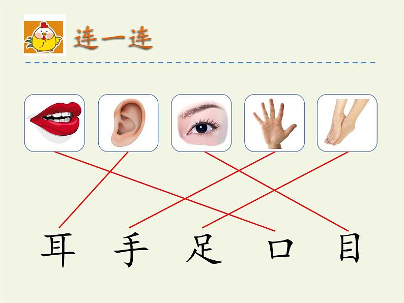 一年级语文上册教学课件-3 口耳目2-部编版05