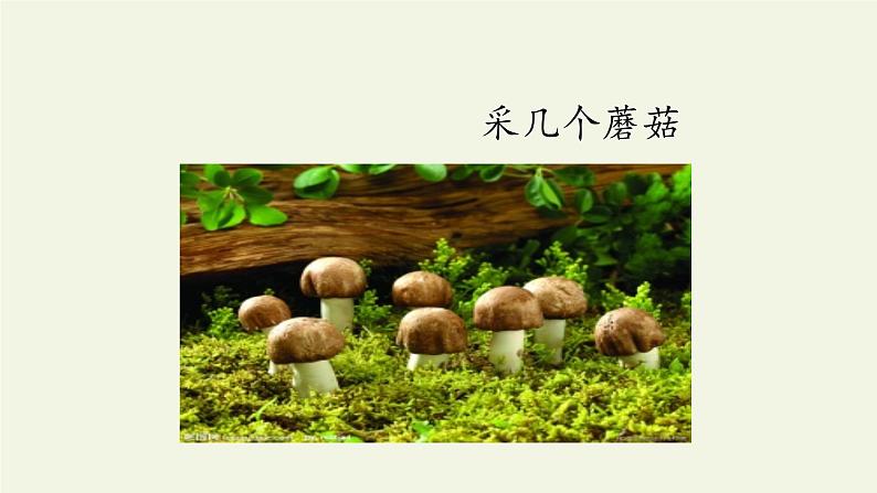 一年级语文上册教学课件-14 小蜗牛（2）-部编版第5页