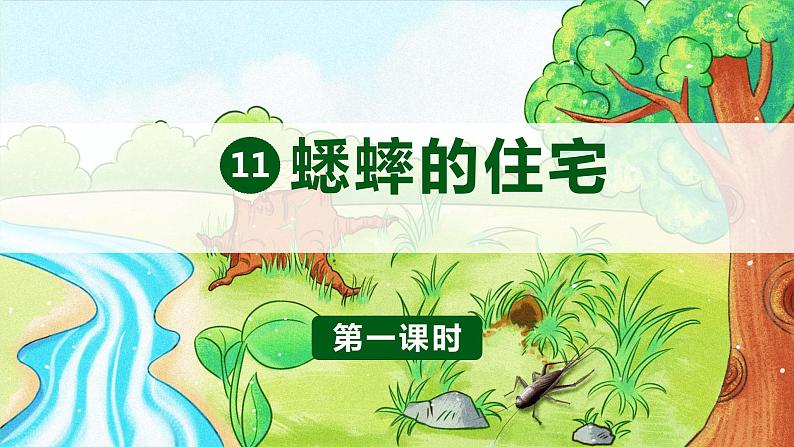 部编版 语文四年级上册 11蟋蟀的住宅 教学课件01