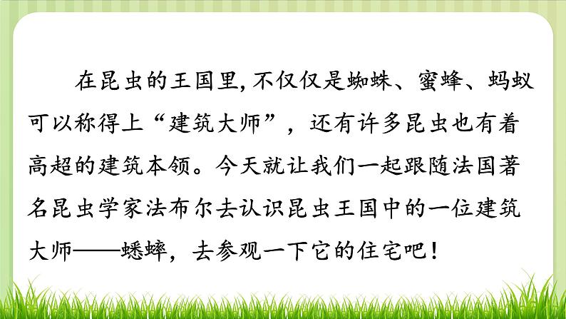 部编版 语文四年级上册 11蟋蟀的住宅 教学课件03