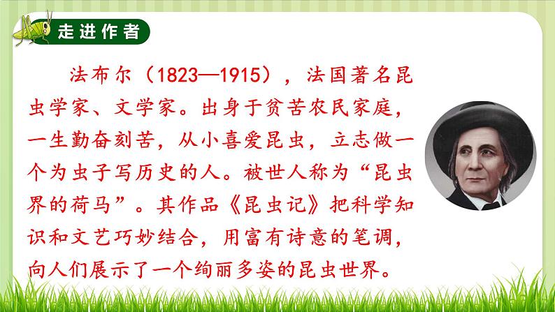 部编版 语文四年级上册 11蟋蟀的住宅 教学课件05