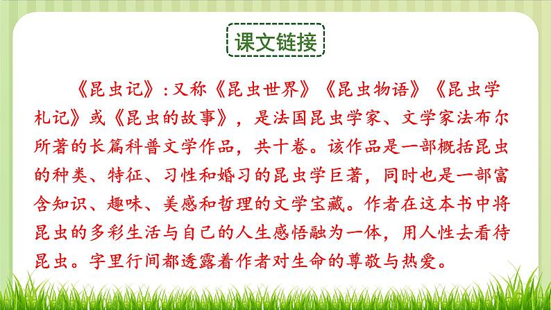 部编版 语文四年级上册 11蟋蟀的住宅 教学课件06