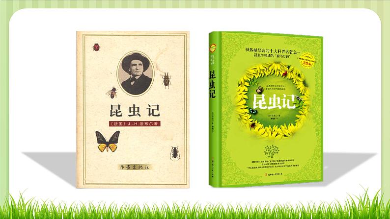 部编版 语文四年级上册 11蟋蟀的住宅 教学课件07