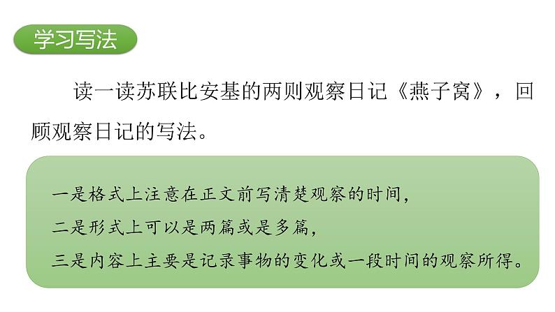 部编版 语文四年级上册 习作三：写观察日记 教学课件第6页