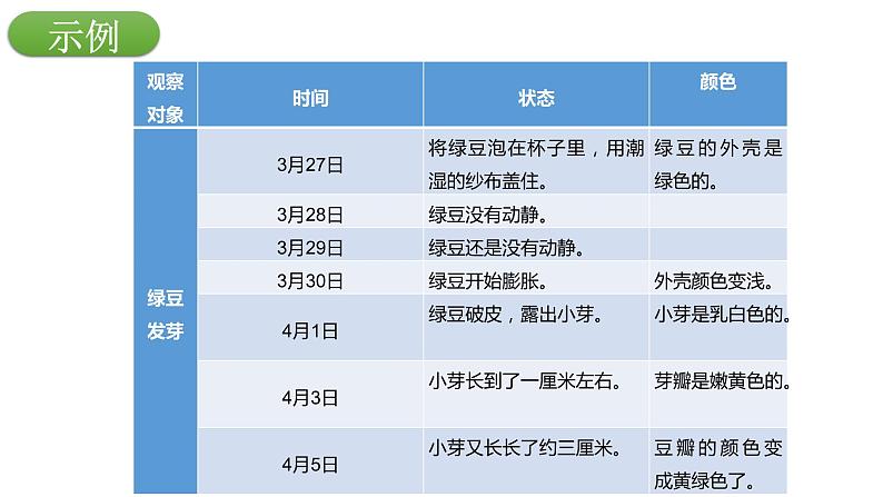 部编版 语文四年级上册 习作三：写观察日记 教学课件第7页