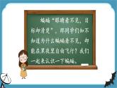 部编版 语文四年级上册 6夜间飞行的秘密 教学课件
