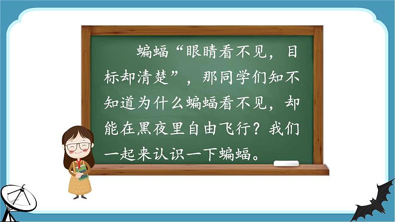 部编版 语文四年级上册 6夜间飞行的秘密 教学课件03