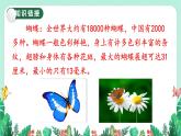部编版 语文四年级上册 8蝴蝶的家 教学课件