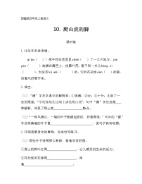 人教部编版四年级上册10 爬山虎的脚当堂达标检测题