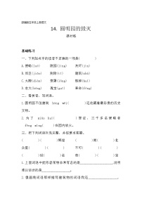 小学语文人教部编版五年级上册14 圆明园的毁灭巩固练习