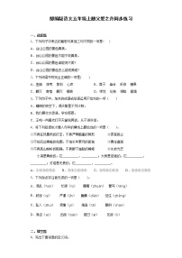 小学语文人教部编版五年级上册19 父爱之舟课时练习