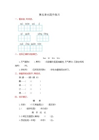 语文二年级上册5 玲玲的画巩固练习