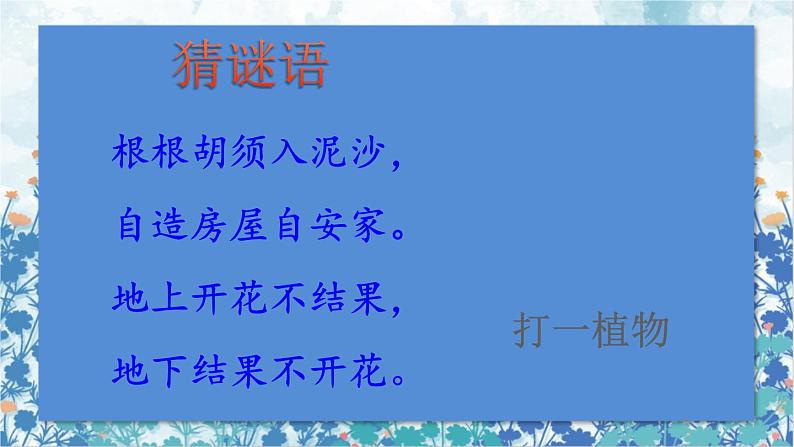 2021～2022学年小学语文人教部编版 五年级上册 第一单元2落花生 课件01