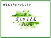 部编版六年级上册语文夏天里的成长课件PPT