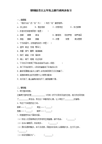 小学语文人教部编版五年级上册24* 月迹课后练习题