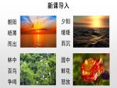 人教部编版语文五年级上册第7单元《习作：____即景》课件PPT