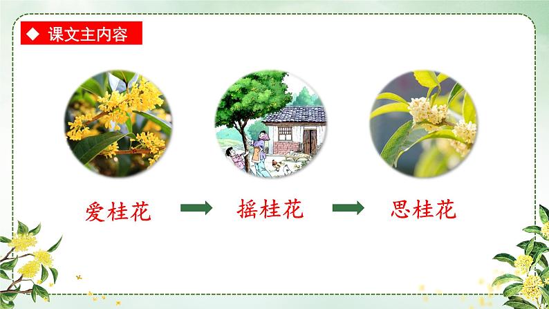 人教部编版语文五年级上册3桂花雨教学课件第8页