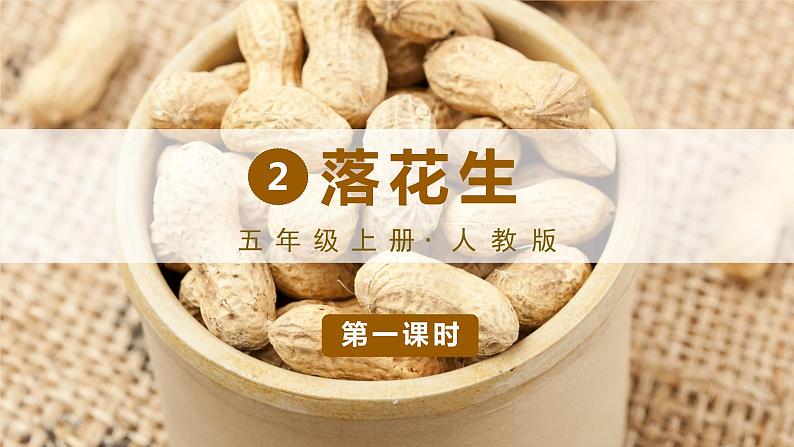 人教部编版语文五年级上册2落花生教学课件01
