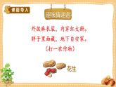 人教部编版语文五年级上册2落花生教学课件